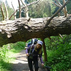 GirlsWildCat 019 : GirlsWildCat